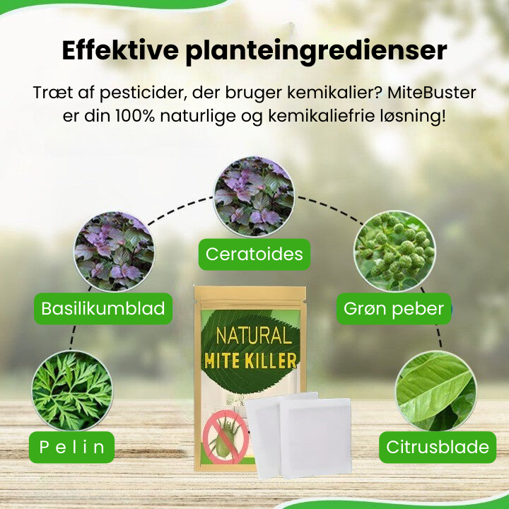 MiteBuster™ | Beskytt familien din mot midd