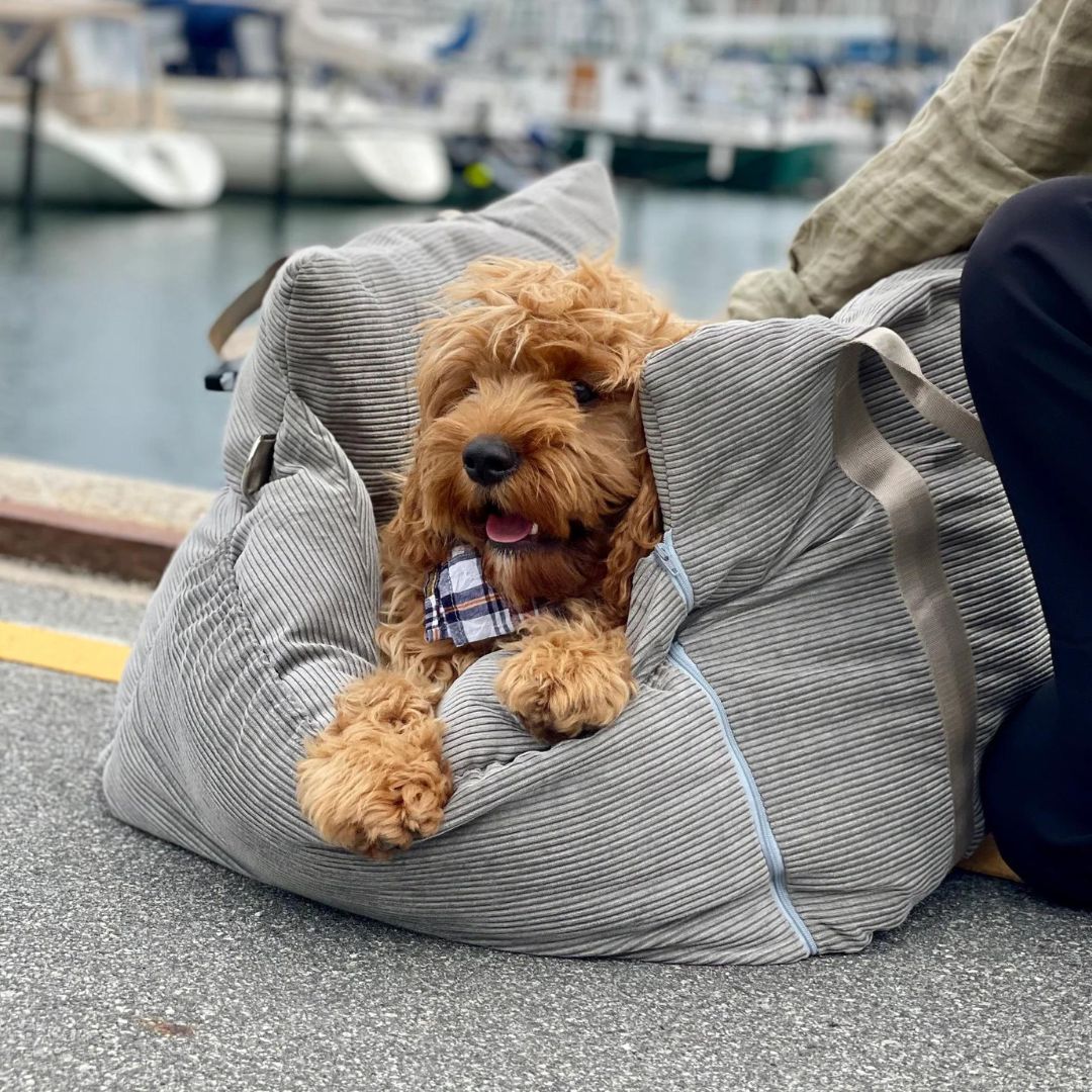 HavenPaw™ | Ingen flere urolige turer - trygg og koselig reise for hunden din