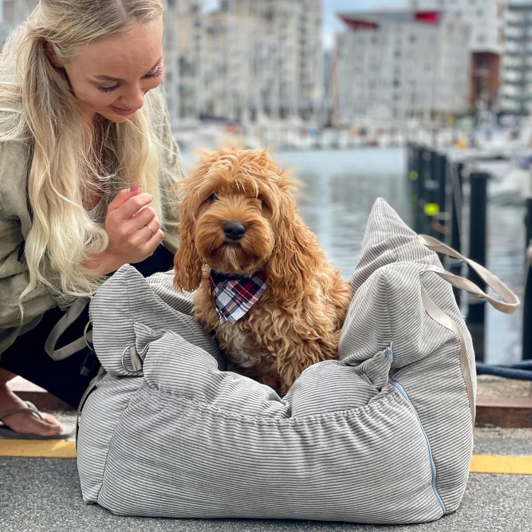 HavenPaw™ | Ingen flere urolige turer - trygg og koselig reise for hunden din