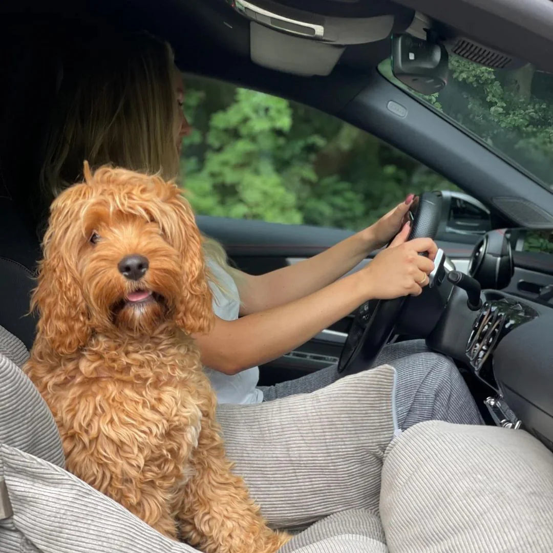 HavenPaw™ | Ingen flere urolige turer - trygg og koselig reise for hunden din