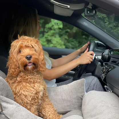 HavenPaw™ | Ingen flere urolige turer - trygg og koselig reise for hunden din