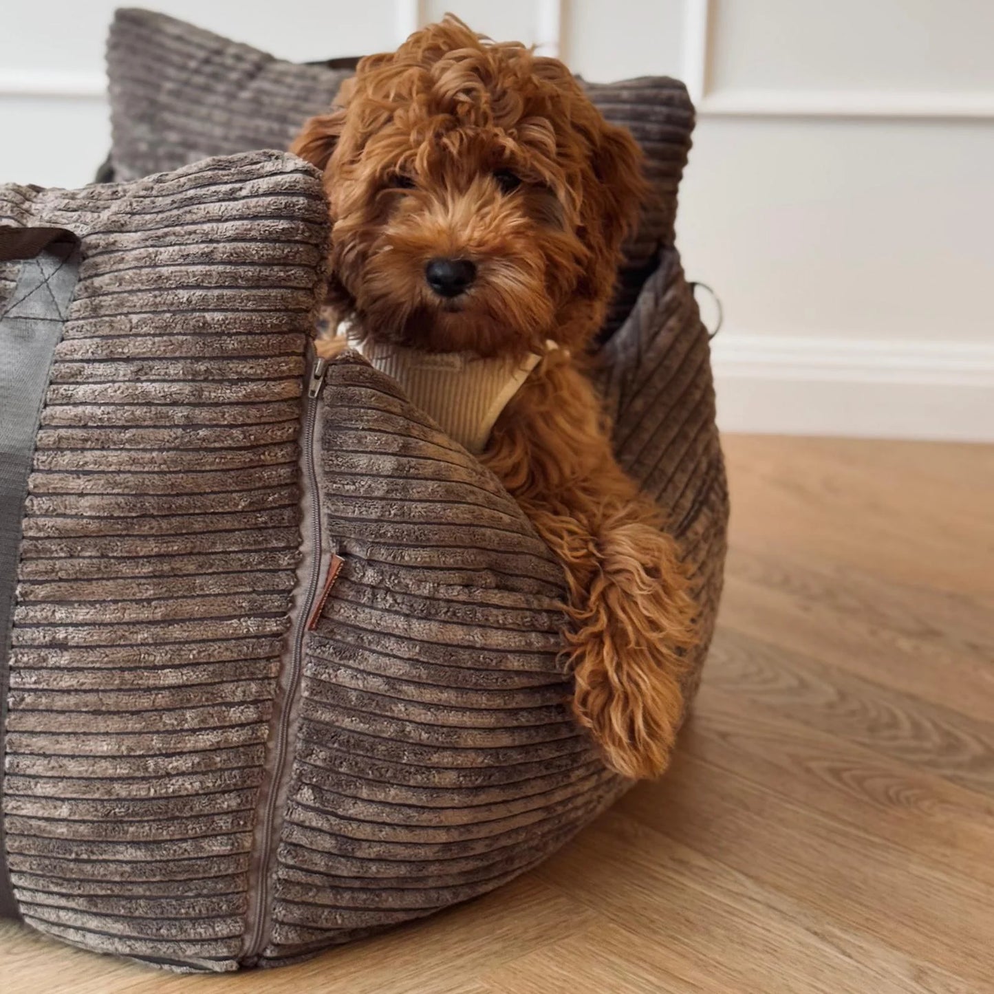 HavenPaw™ | Ingen flere urolige turer - trygg og koselig reise for hunden din