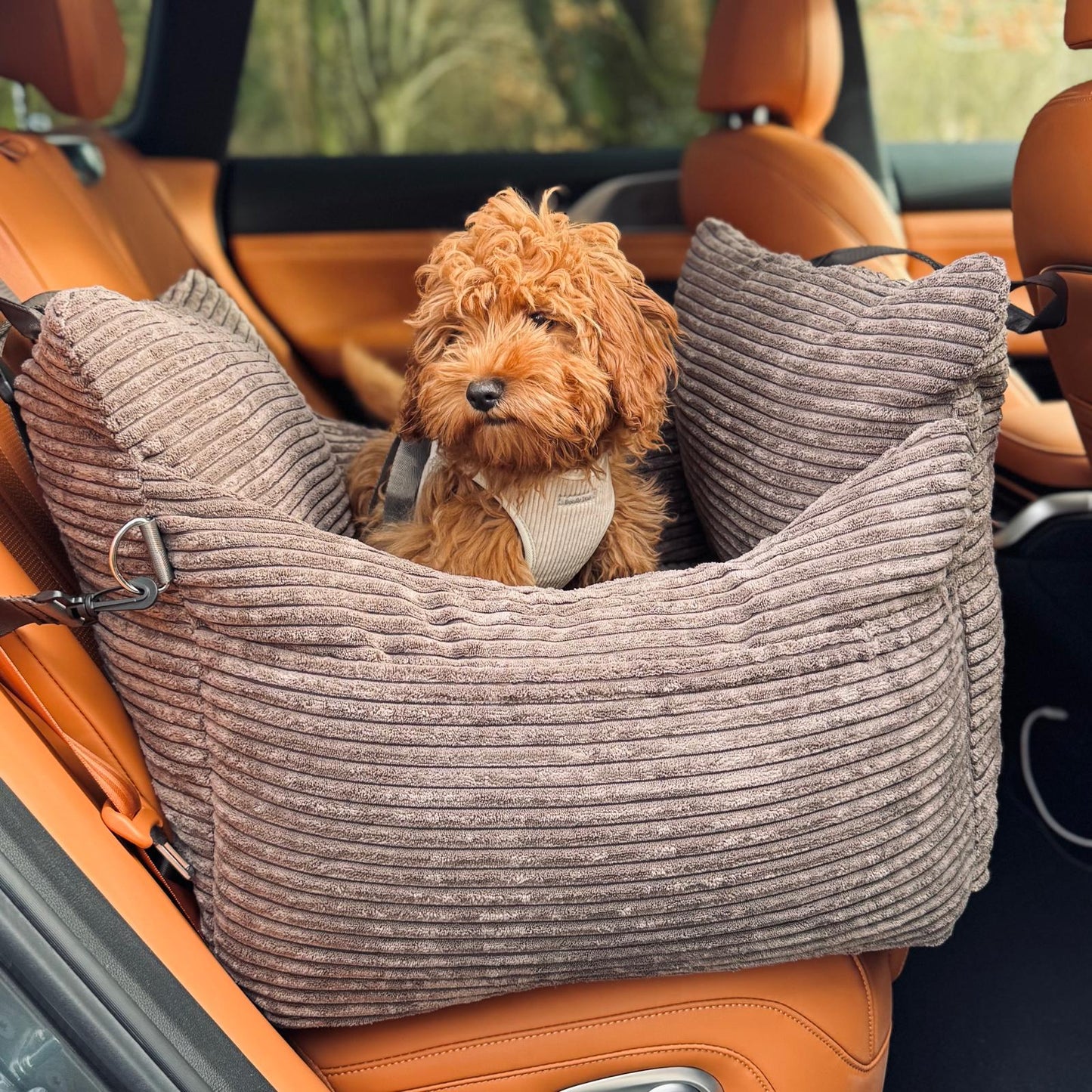 HavenPaw™ | Ingen flere urolige turer - trygg og koselig reise for hunden din