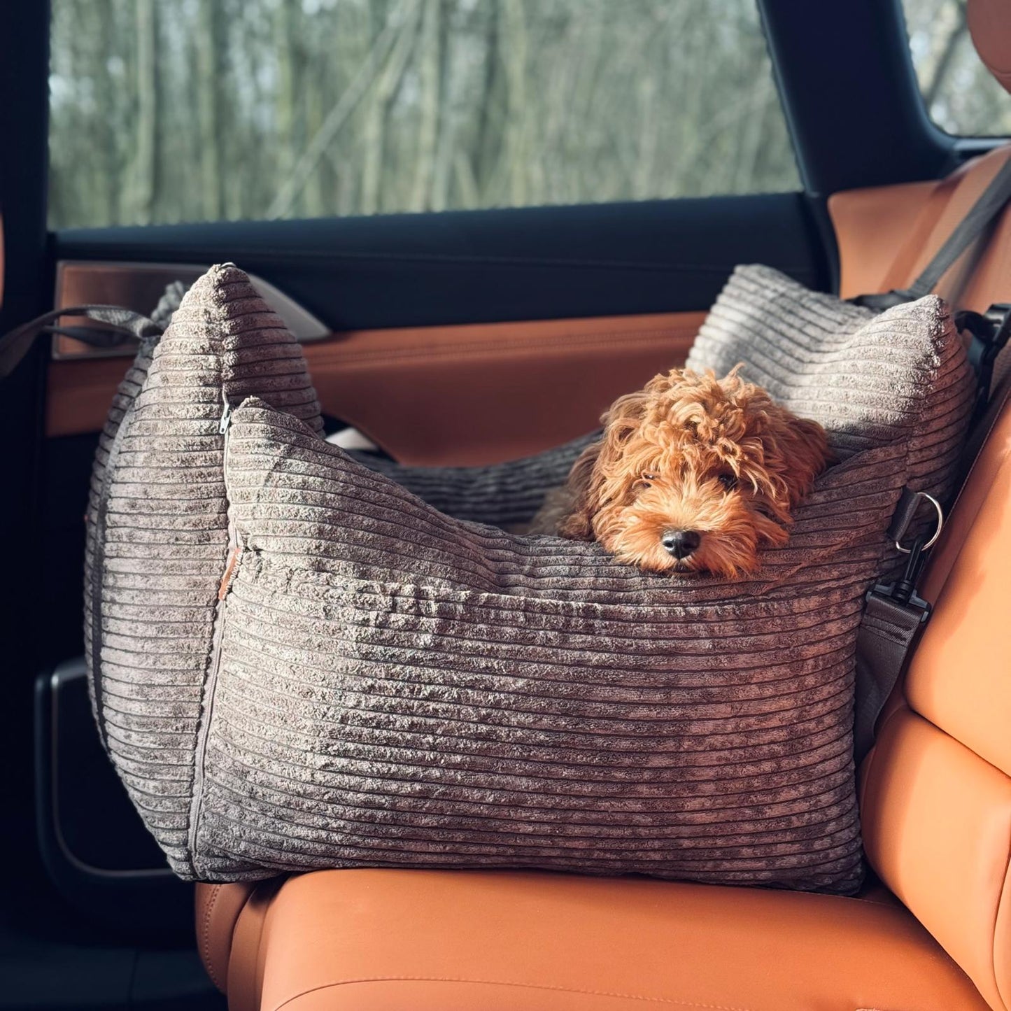 HavenPaw™ | Ingen flere urolige turer - trygg og koselig reise for hunden din