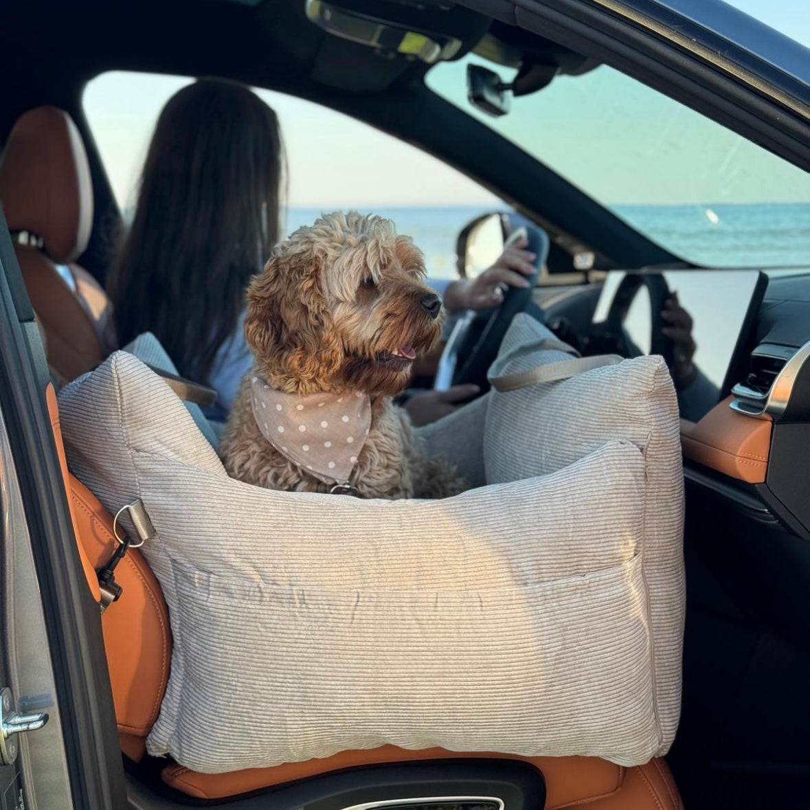 HavenPaw™ | Ingen flere urolige turer - trygg og koselig reise for hunden din