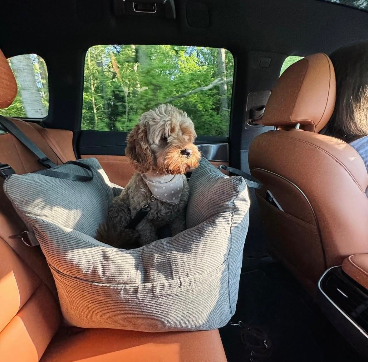 HavenPaw™ | Ingen flere urolige turer - trygg og koselig reise for hunden din